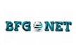 Подключение к домашнему интернету BFG-Net