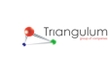 Підключення до домашнього інтернету Triangulum